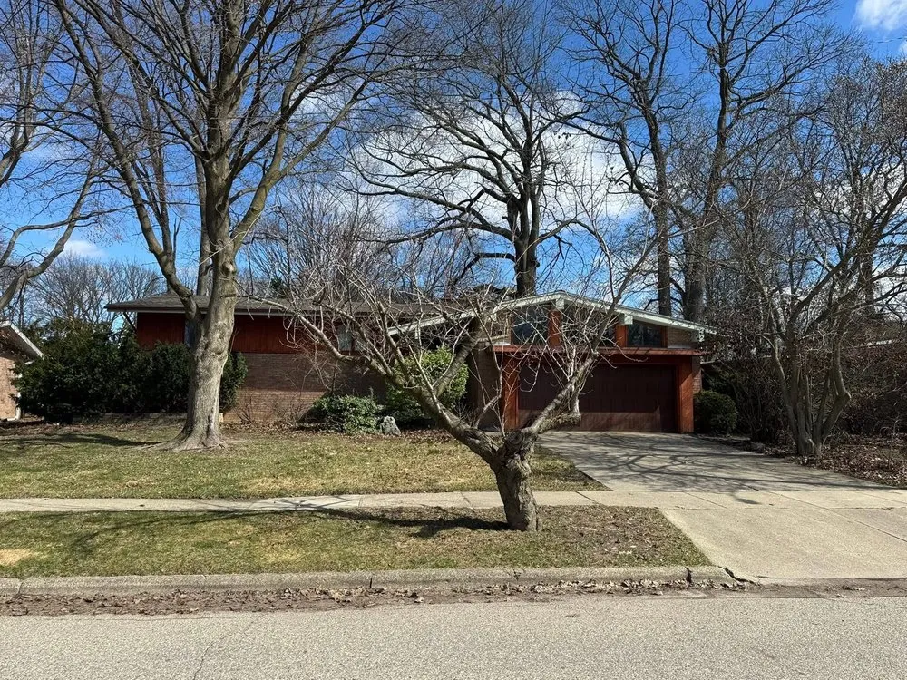 Affordable yard cleanup service in Lansing, MI - Ackley’s Landscaping