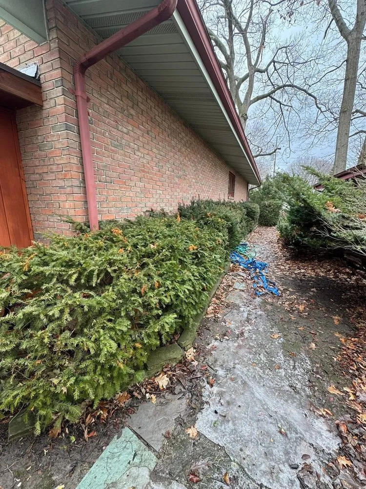 Expert yard cleanup service in Lansing, MI - Ackley’s Landscaping