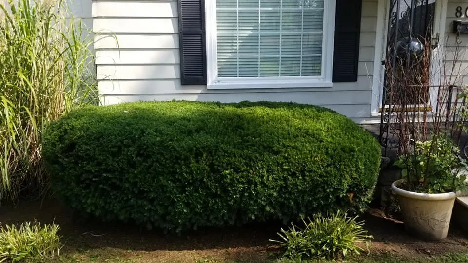 Trusted lawn mowing service for residential properties in Hanover, MI by Ackley's Property Services