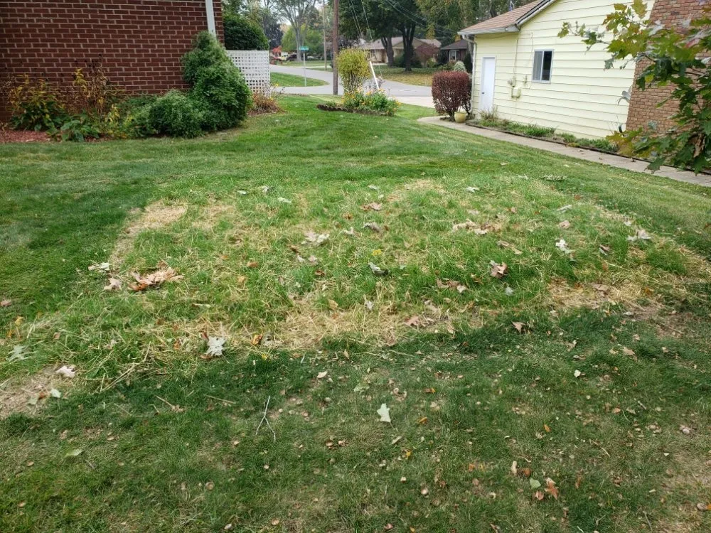 Local garden landscaping for year-round maintenance in Hanover, MI by Ackley's Property Services