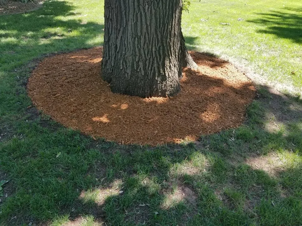 Custom landscaping services experts serving Hanover, MI - Ackley's Property Services