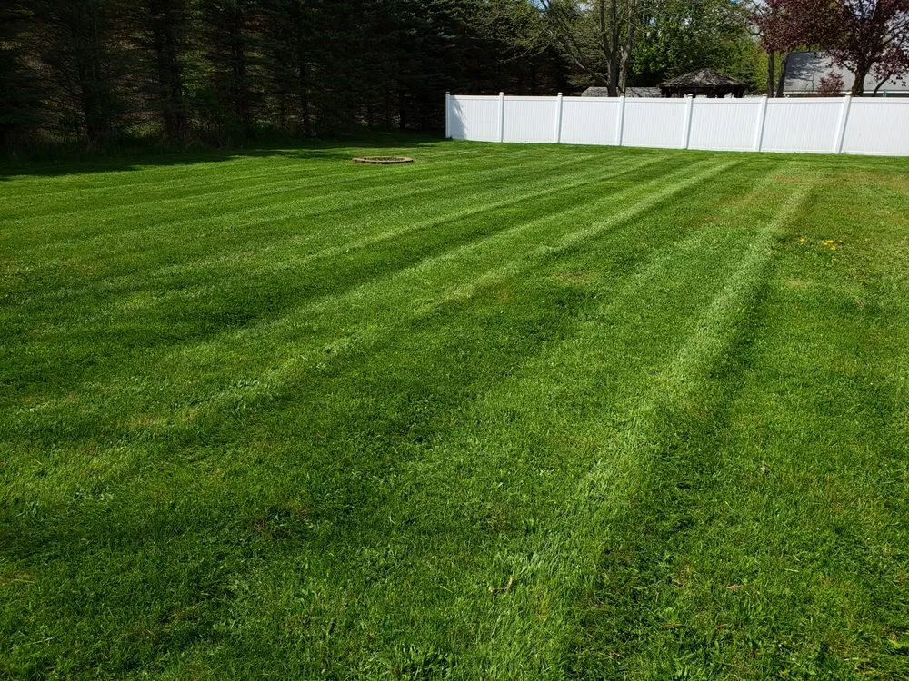 Local yard maintenance in Hanover, MI by Ackley's Property Services