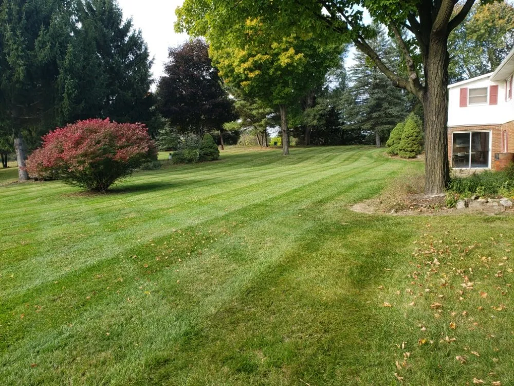 Top-rated yard cleanup service in Hanover, MI - Ackley's Property Services