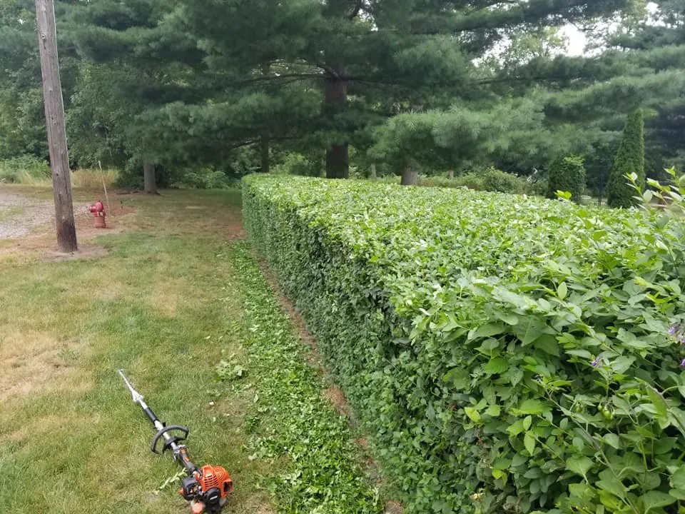 Professional landscape installation in Hanover, MI - Ackley's Property Services