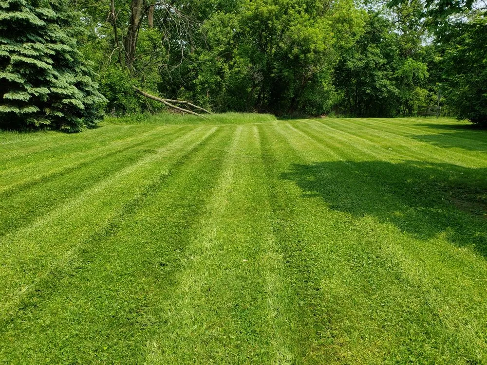 Affordable lawn care service for residential properties across Hanover, MI - Ackley's Property Services