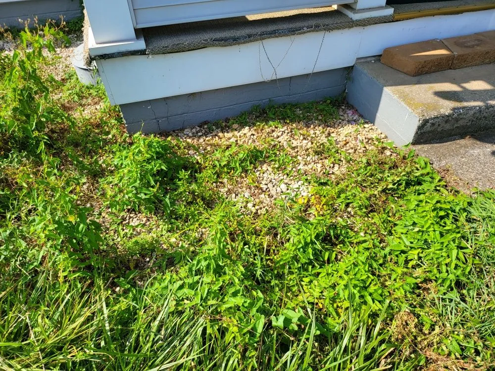 Custom lawn mowing service in Windber, PA by ACL Anthony C's Lawncare