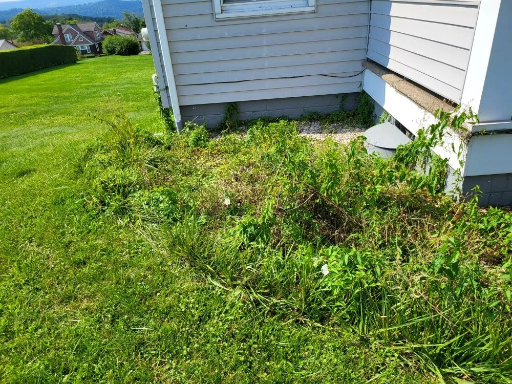 Expert lawn mowing service in Windber, PA - ACL Anthony C's Lawncare