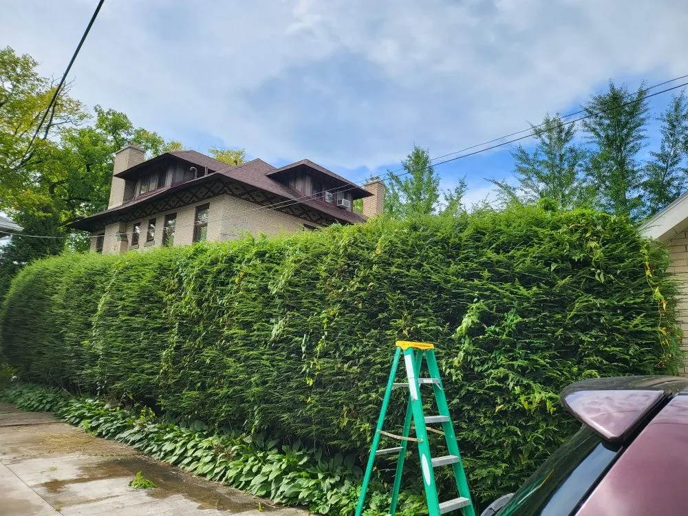 Trusted landscape design in Windber, PA - ACL Anthony C's Lawncare