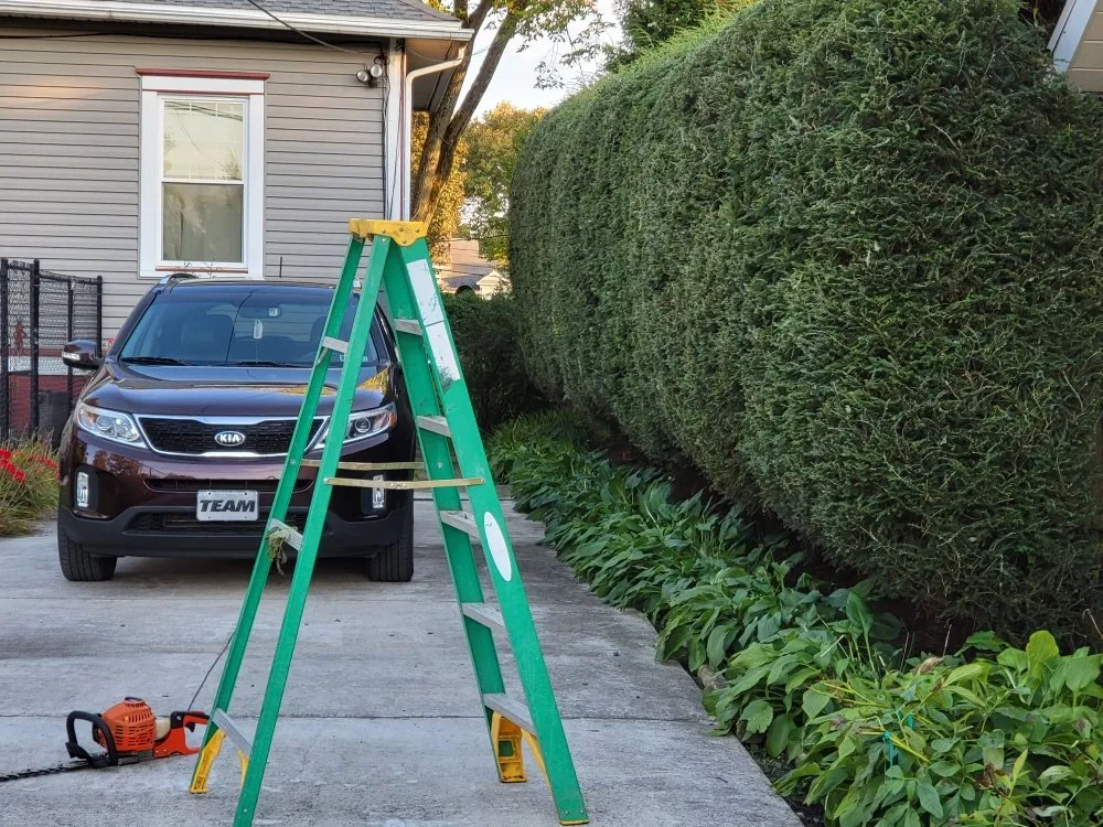 Local lawn care service experts serving Windber, PA - ACL Anthony C's Lawncare