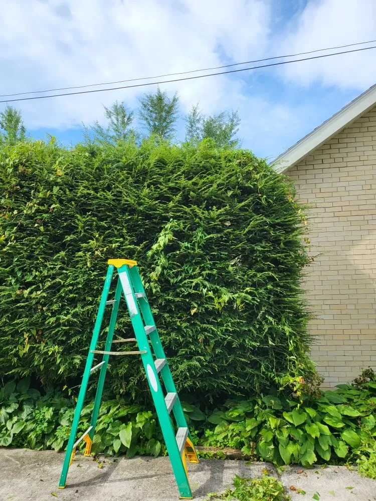 Professional lawn mowing service for beautiful yards in Windber, PA by ACL Anthony C's Lawncare