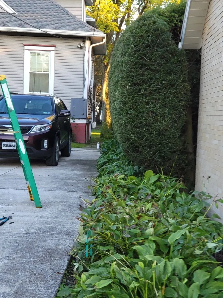 Expert outdoor landscaping in Windber, PA - ACL Anthony C's Lawncare