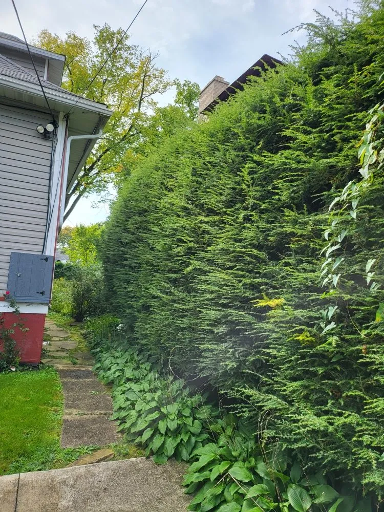 Expert landscape design with custom design across Windber, PA - ACL Anthony C's Lawncare