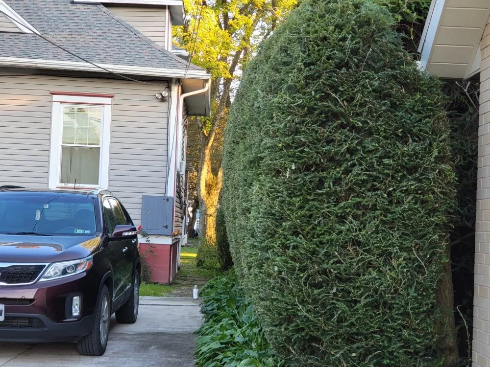 Custom residential landscaping for residential properties across Windber, PA - ACL Anthony C's Lawncare