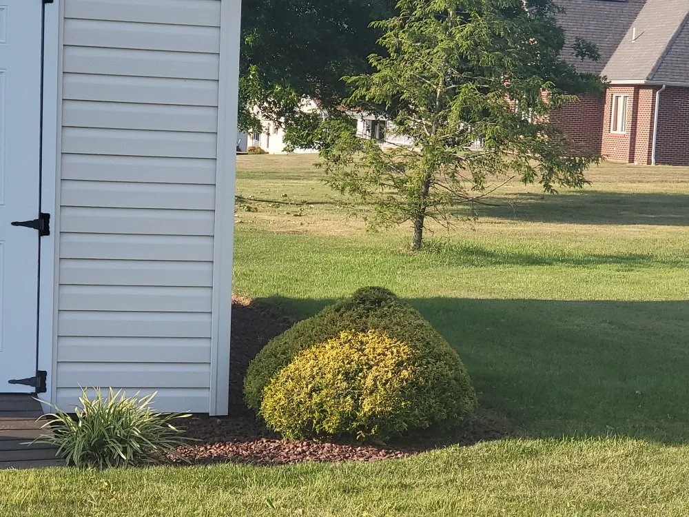 Reliable lawn mowing service in Windber, PA by ACL Anthony C's Lawncare