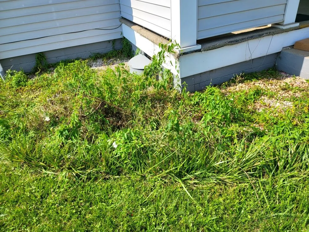 Local lawn care service in Windber, PA by ACL Anthony C's Lawncare