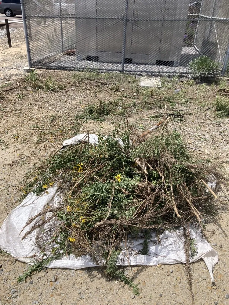 Trusted lawn mowing service in Fallbrook, CA - ACL Construction