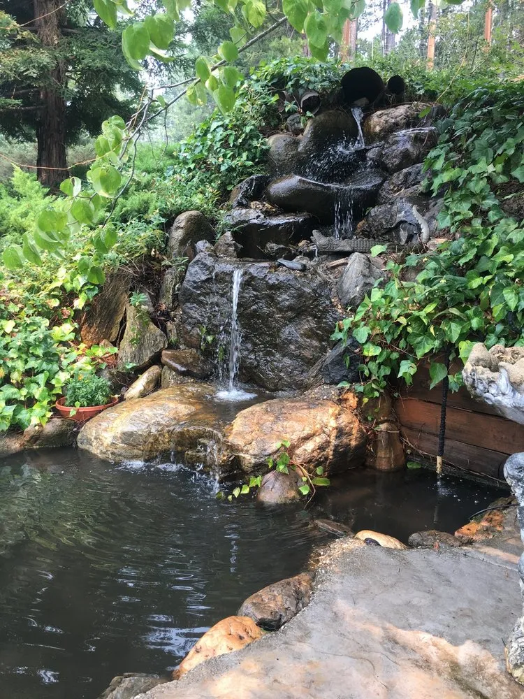 Local lawn care service experts serving Dutch Flat, CA - Acl