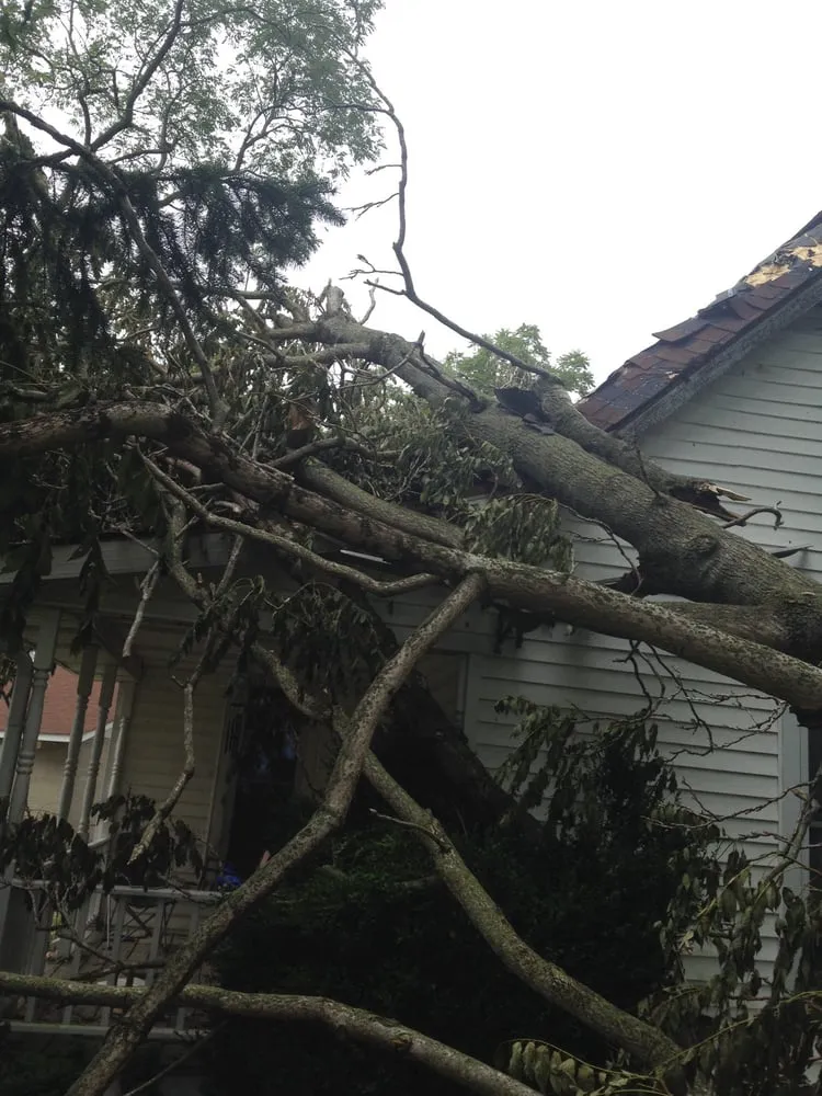 Trusted landscape design for year-round maintenance across Shelbyville, IN - ACL Lawn Care Group