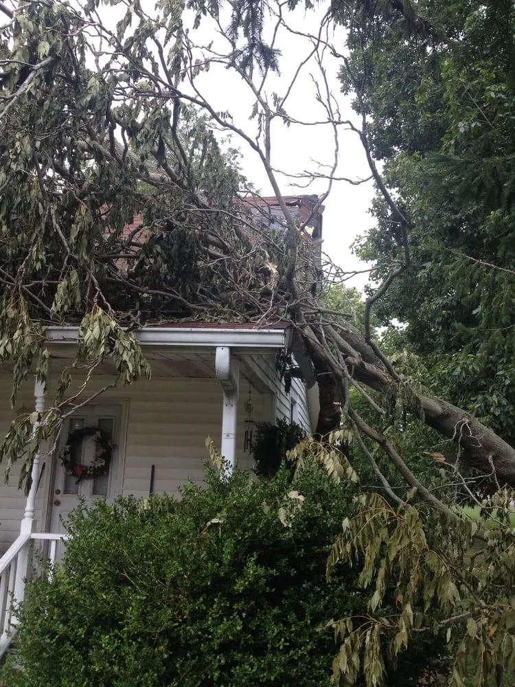 Expert lawn care service in Shelbyville, IN by ACL Lawn Care Group