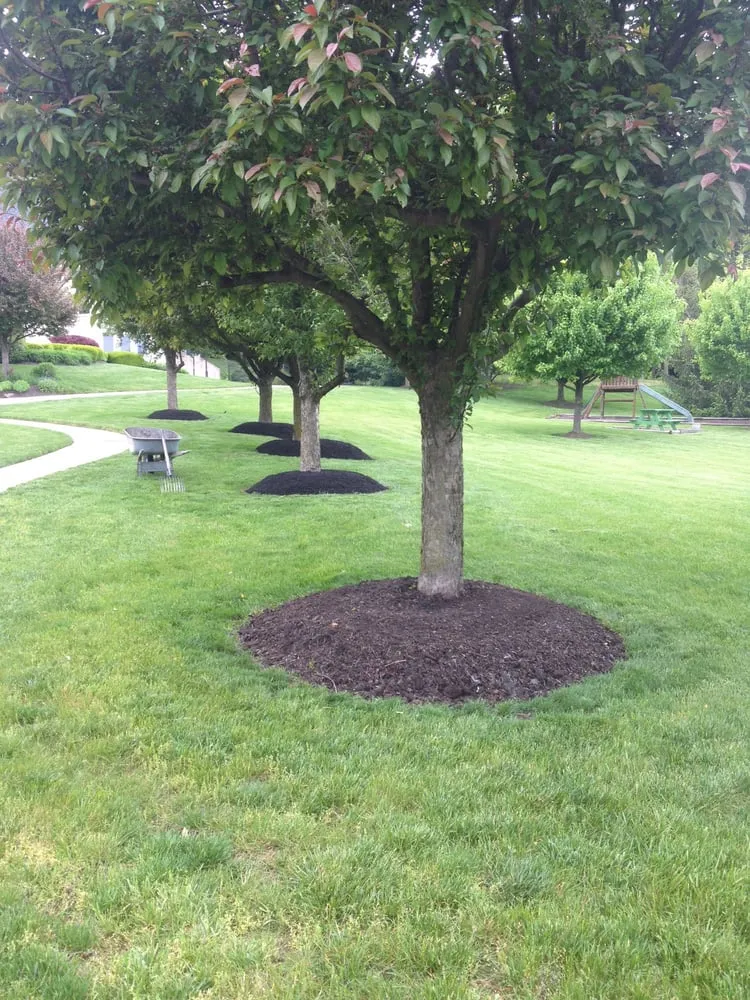 Expert residential landscaping experts serving Shelbyville, IN - ACL Lawn Care Group