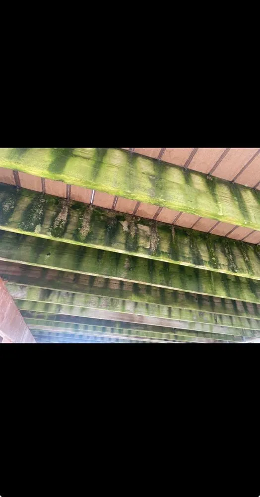 Local yard maintenance in Waterloo, IL by ACL Power Washing