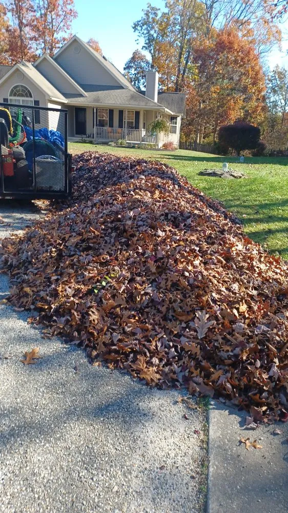 Local landscaping services in Vineland, NJ - ACM Landscaping Services