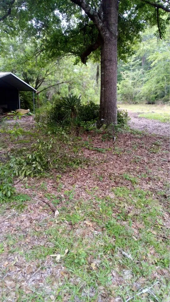 Affordable yard maintenance near you across Townsend, GA - ACM Outdoors