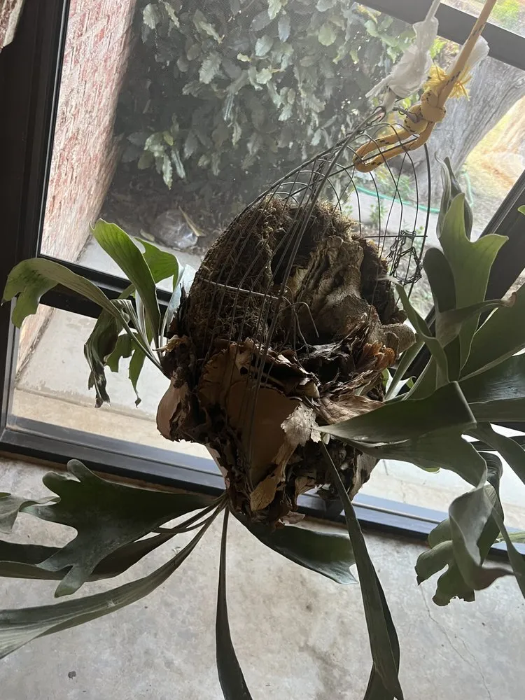 Affordable outdoor landscaping in Lubbock, TX - ACME Exteriors