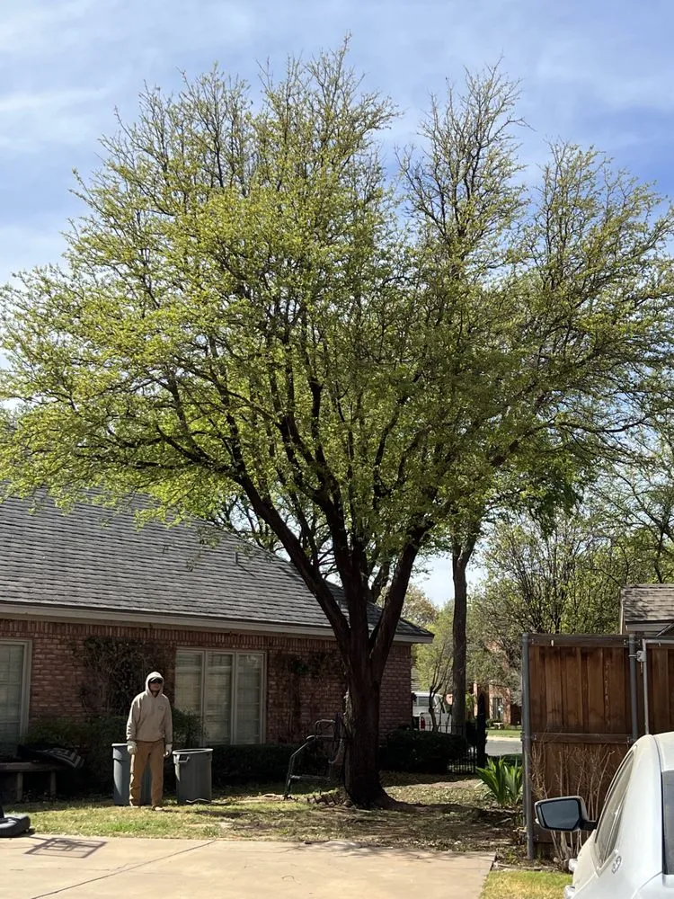 Reliable landscaping services experts serving Lubbock, TX - ACME Exteriors