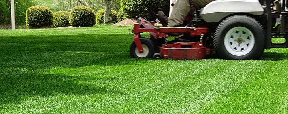 Top-rated landscape design for homes across Shallowater, TX - ACME Exteriors