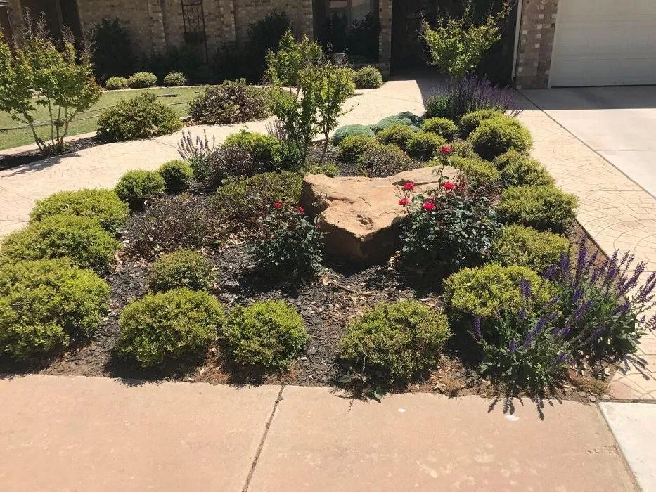 Top-rated yard maintenance for beautiful yards across Shallowater, TX - ACME Exteriors