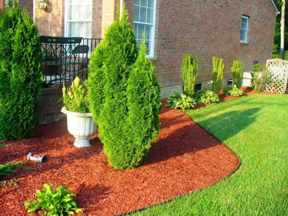 Reliable landscaping services for outdoor upgrades across Suffolk, VA - ACME Restoration