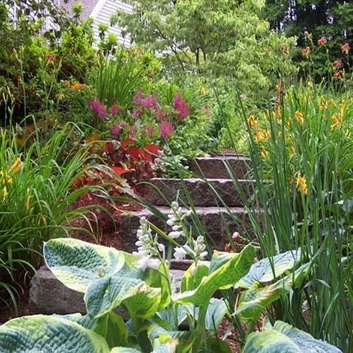 Custom yard cleanup service for beautiful yards across Suffolk, VA - ACME Restoration