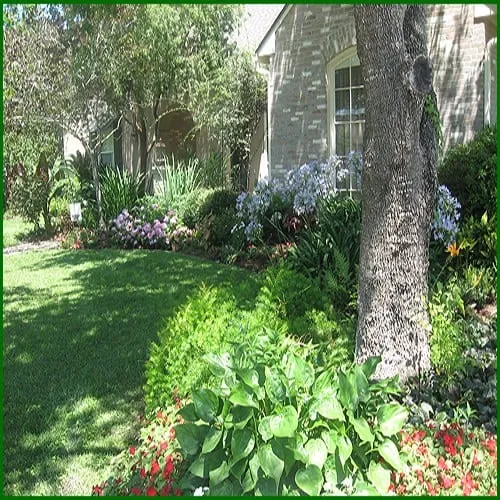 Professional lawn mowing service for homes across Suffolk, VA - ACME Restoration