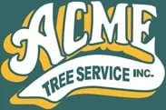 Professional yard cleanup service near you in Cincinnati, OH by Acme Tree & Landscape Service, Inc.