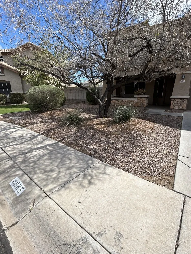 Affordable residential landscaping for residential properties across Mesa, AZ - ACO Landscape & Grading Service