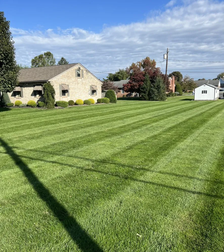 Affordable yard cleanup service for year-round maintenance in Guilford, PA by ACO Lawn Care