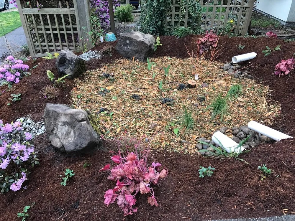 Local landscape installation in Bellingham, WA by Acorn Landscape