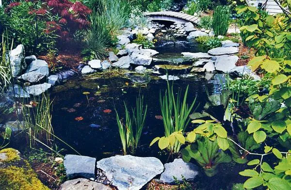 Reliable yard maintenance experts serving Bellingham, WA - Acorn Landscape