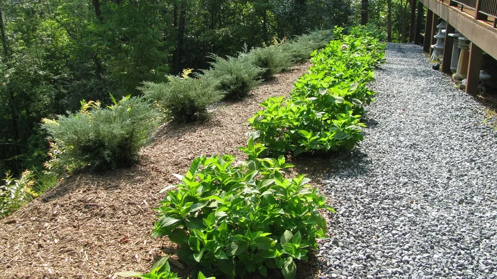 Reliable landscape installation experts serving Franklin, NC - Acorn Landscape