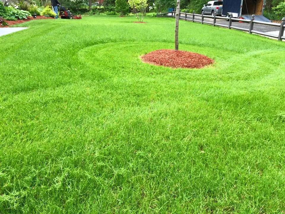 Custom landscape design in Burlington, MA - Acorn Landscaping & Masonry