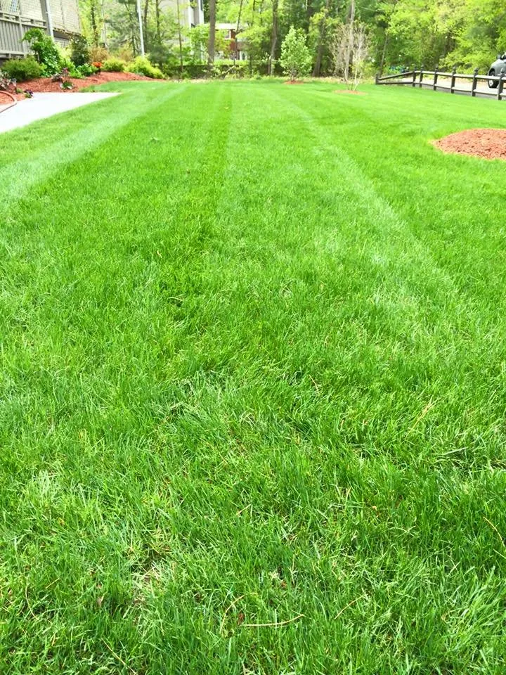 Local landscape design in Burlington, MA by Acorn Landscaping & Masonry