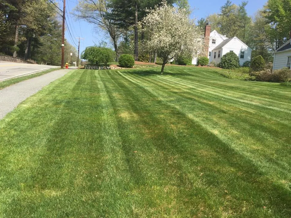 Local landscaping services near you across Burlington, MA - Acorn Landscaping & Masonry