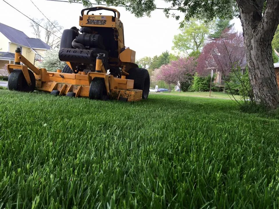 Professional landscape installation experts serving Burlington, MA - Acorn Landscaping & Masonry