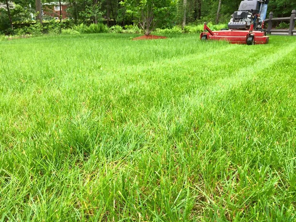 Professional garden landscaping in Burlington, MA by Acorn Landscaping & Masonry