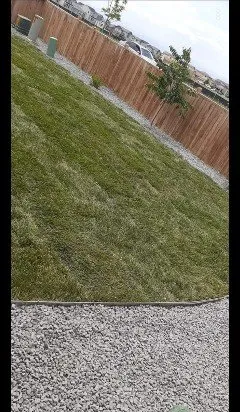 Trusted yard maintenance for homes in Denver, CO by Acorn Landscaping