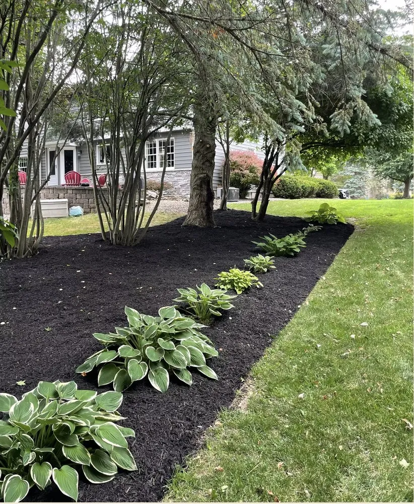 Top-rated yard cleanup service for homes in Victor, NY by Acorn Landscaping