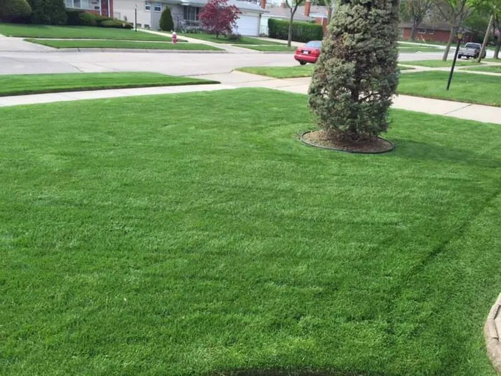 Professional garden landscaping for homes in Warren, MI by Acorn Landscaping
