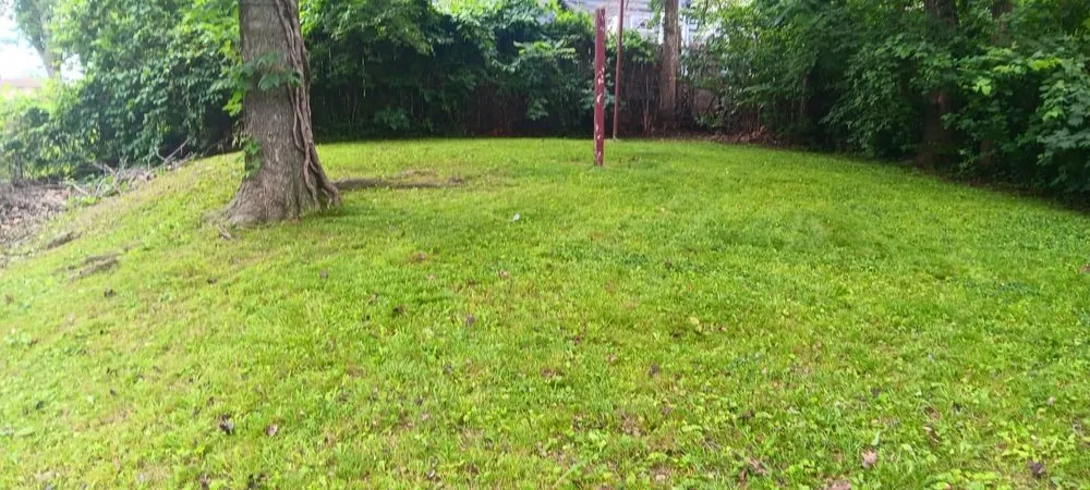 Expert landscape design in Raytown, MO by Acorn Lawn & Garden Solutions