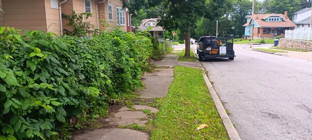 Reliable yard maintenance for homes in Raytown, MO by Acorn Lawn & Garden Solutions